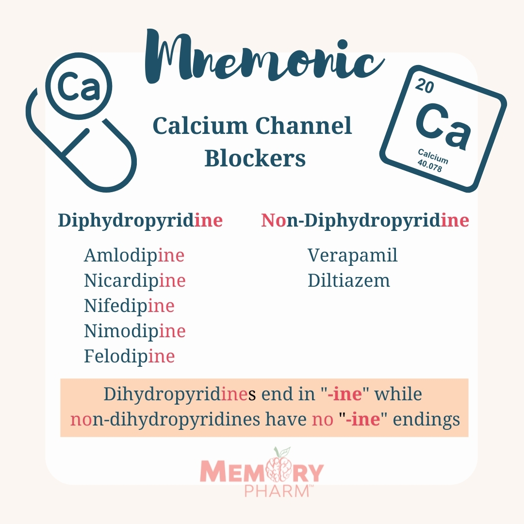 Calcium Channel Blockers – Memory Pharm