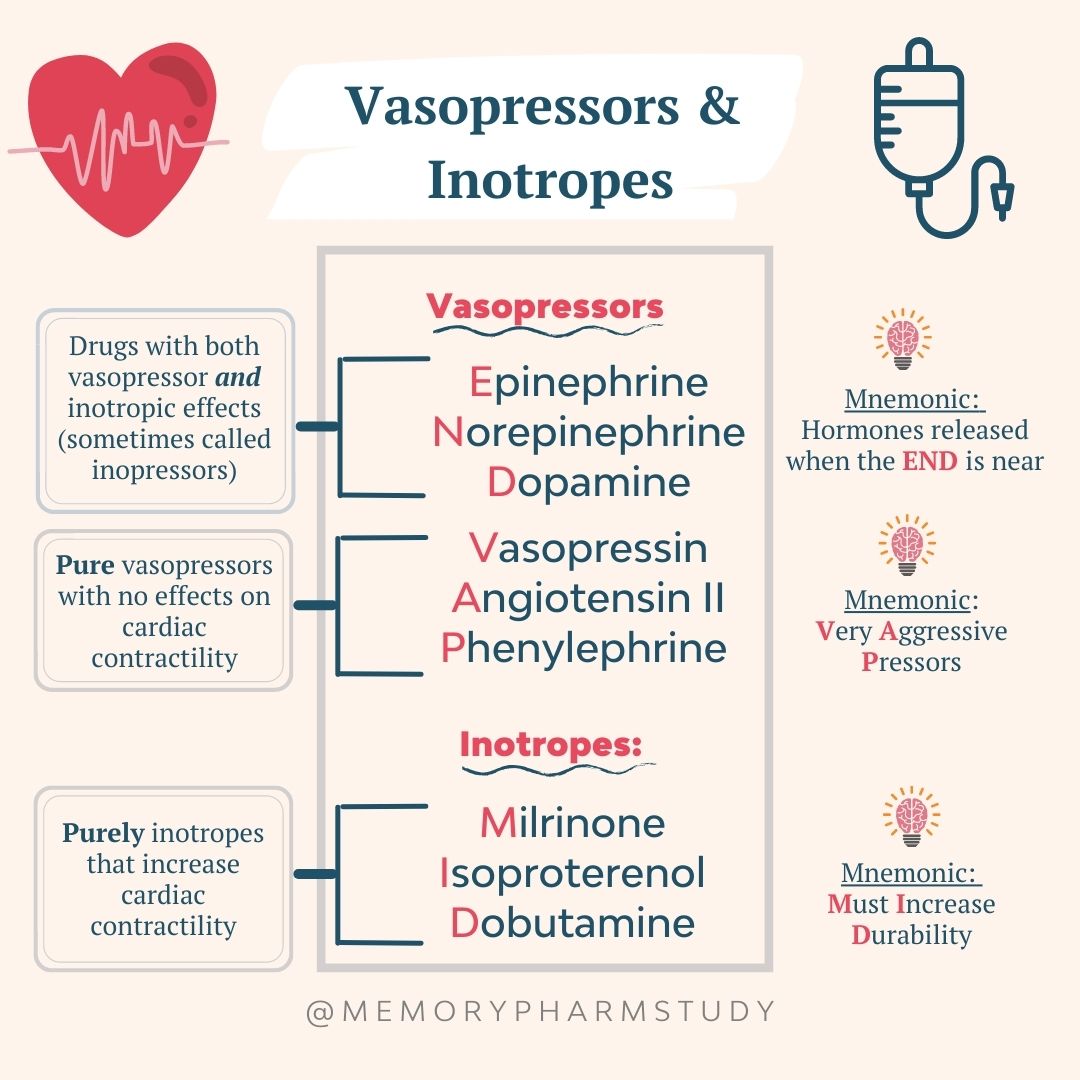 Vasopressors And Inotropes⁠ - Memory Pharm